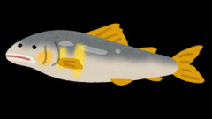 【レシピ】親戚から生の鮎をいただいたんだけどどう料理したらいいのかわからない！魚捌けないんだけど料理できる？