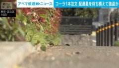 【足立区】コーラ1本をアプリで注文､配達員を待ち構えて強盗 現金約1万7000円を奪った大学生と高校生を逮捕