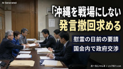 【国会内で政府交渉】具志堅さん「発言撤回しないなら、高市首相は沖縄に来ないで」