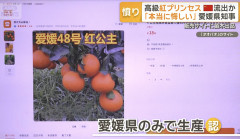 【悲報】愛媛県が20年近い期間をかけ作った高級みかんが中国に流出か