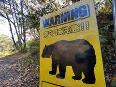 【東京都】ツキノワグマ猟を２０年ぶり解禁へ…出没相次ぎ負傷者も発生、「保護」から「抑制」に転換