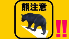 【奈良】下北山村で男性がクマに襲われケガ…頭などから出血　住宅の離れのトイレから出たところ…　クマはまだ見つからず