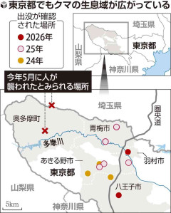 東京都がツキノワグマ猟を20年ぶり解禁へ…出没相次ぎ負傷者も発生、「保護」から「抑制」に転換
