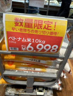 【悲報】専門家さん「コメ5キロ1359円が適正価格です」・・・・・・・・・