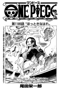 【悲報】ワンピース、『お金の計算が出来なくて国が滅ぼされる』とんでも展開へ