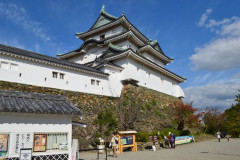 なぜそこだけ雑に積まれた？和歌山城の「ヘタクソな石垣」に秘められた、重い真実とは！