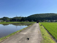 【石川】小松でクマに襲われ男性けが、散歩中に８０代