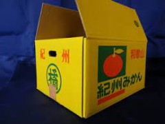 【画像】実家の母ちゃん「東京の息子に荷物送りたいけど盗まれたら大変……せや！」　→　ママのした◯◯◯◯のおかげで無事盗難されずに届く！これは天才ｗｗｗｗｗ