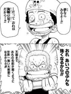 【ワンピース】相対的に過去が軽くなってしまう二人