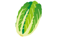白菜って鍋の野菜代表みたいな顔してるけど無能ｗｗｗｗｗｗ