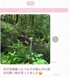 おばあちゃんから「花の写真撮ったつもりが真ん中に面白可愛い物が写ってました」と最高の連絡がきて、最高の気分→「なんやこの表情」「あまりにも尊い」