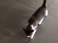 彼女が家に来る前にあれこれ想像していた。これで一緒に遊んだら楽しいだろうな♪ → でも現実はこちらです…