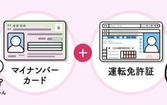 免許更新するんやけどマイナ免許証にすべきなの？