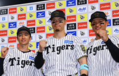 結局タイガースの外野はレフト森下、センター近本、ライト佐藤が最も丸いよな