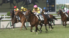 ハルオーブさん中央初勝利