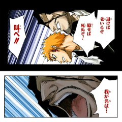 【BLEACH】斬月のおっさん「叫べ‼　我が名は‼」