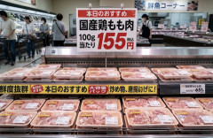 【悲報】鶏肉価格、6月は155円で過去最高。ありがとう自民党