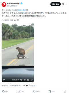 【悲報】動物園の人気者、可愛い見た目とは裏腹に性格最悪だったｗｗｗｗ
