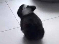 好きな人に告白してＯＫをもらった。部屋で一人になった → そんな状態はこちらです…