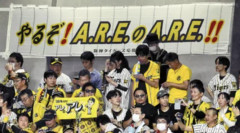 阪神、超人気球団なのにファンとの距離近すぎる問題