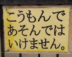 【画像】台湾人「尻餅ついた拍子に肛門にヤシの実が入っちゃったんですけど…」