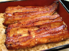 海外「日本人は不可能を可能にしたのか！？」いよいよ試験販売が始まった日本の完全養殖ウナギに対する海外の反応