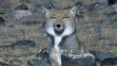 言うてみんなそんな太ってないですよね？