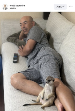 【画像】和田一浩さん、ミーアキャットとくつろぐ