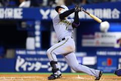 森下翔太(25) 打率.297(249-74) 16本 38打点 22四球 9死球 38三振 OPS.943