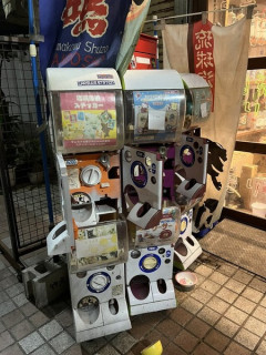 【悲報】小学生ガッキ、暴徒化