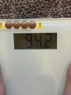 坂口杏里、現在の体重は衝撃の94.2kg　「過食に走ってしまい、気づいたらもうすぐ100キロです」