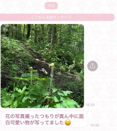 猫の写真をアップした女、驚異の130万いいね