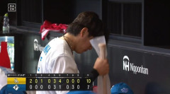 北海道日本ハムファイターズ対SB戦1勝9敗