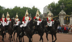 【悲報】日本人観光客さん、イギリスの騎馬隊に下がれと注意されるもちょっとしか下がらず炎上・・・・・・・・・