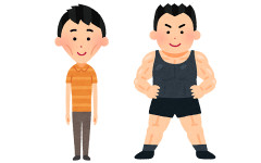 痩せてるとムキムキどっちがよりモテるんだろう？