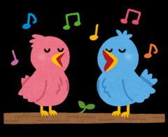 早朝の謎の鳥「ｱｯｵｳｱｯｱｯｵｳ ｱｯｵｳｱｯｱｯｵｳ」