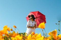 男で日傘さしてるのってマジでおっさんしかいなくない？