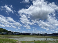 梅雨、終わるw