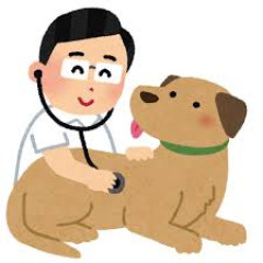 猫は初対面でも「安全な人」を判断する？ 飼い主さんが気になる基準を獣医師に聞いた