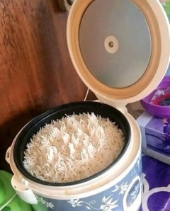 炊きたてのタイ米、キモい（※画像あり）