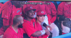 【悲報】広島東洋カープのベンチで怪しい行動