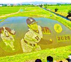 【MLB】巨大な大谷選手とデコピンの田んぼアート　見物客で田園地帯に渋滞、海外からも