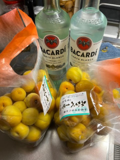 今年も梅酒作るぞー！