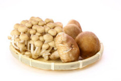 何でキノコ類って椎茸だけ嫌いな人多いの？