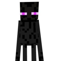 これでマイクラクリアってことでいいのか！？