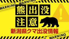 【新潟】南魚沼市で登山中にクマに襲われ50代男性がケガ　自力で下山「クマに噛まれたりしてケガをした」