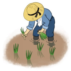 「ザ!鉄腕!DASH!!」放送1000回記念SP!26年目の田植えにDASHメンバー勢ぞろい 懐かしの映像も大放出