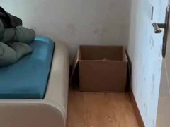 私の部屋の中に、かわいい一輪の花が咲いていた…