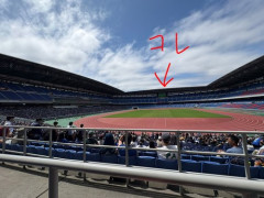 【悲報】日産スタジアムのパブリックビューイング、画面が小さすぎて炎上
