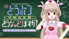 【悲報】人気Vtuber「名取さな」、コレコレ砲で晒されてしまい、ファン発狂へ